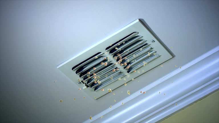 Best Home Air Vent Cleaning  in Scott City, KS